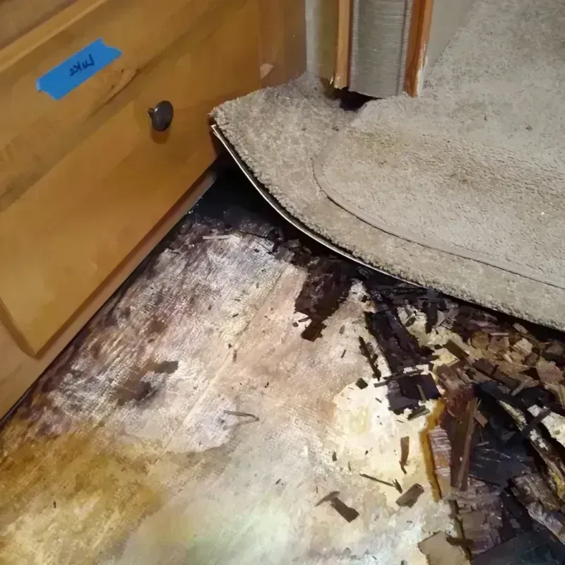 Wood Floor Water Damage in Shorewood Hills, WI